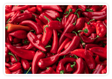 Andalusian Red Pepper - Increases calorie burn by 25% after meals