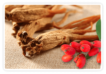 Berberine & Korean Red Ginseng - Metabolic & hormonal balance